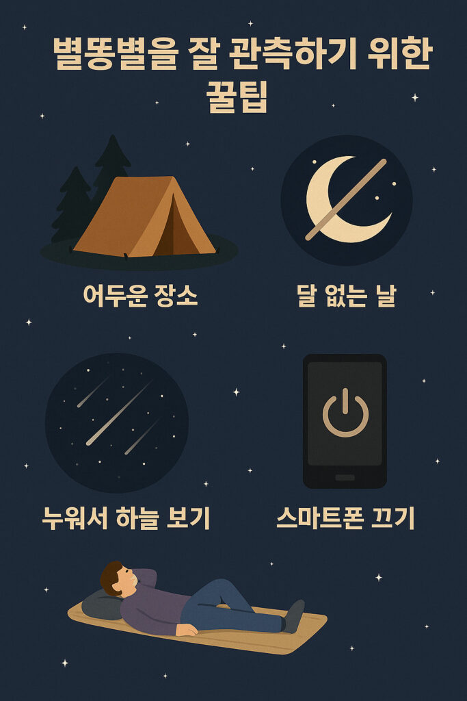 별똥별을 잘 관측하기 위한 꿀팁 인포그래픽
